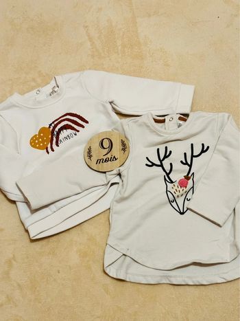 Lot 2 pulls + 2 pantalons legging