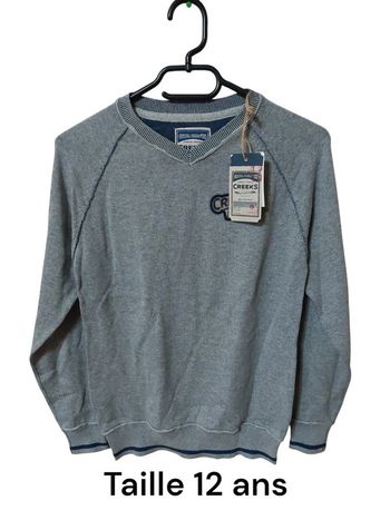 Pull garçon T.12 ans Neuf avec étiquette (creeks)