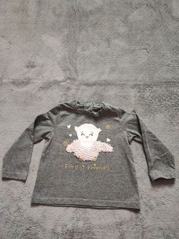 Tee shirt 18 mois Hibou 🦉 avec reliefs (80cm)