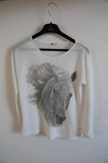 C55 pull blanc H&M 10-12 ans