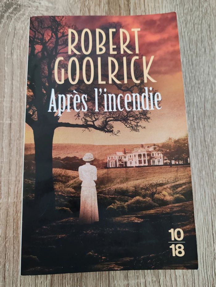 Robert Goolrick 🟣 Après l'incendie - photo numéro 1