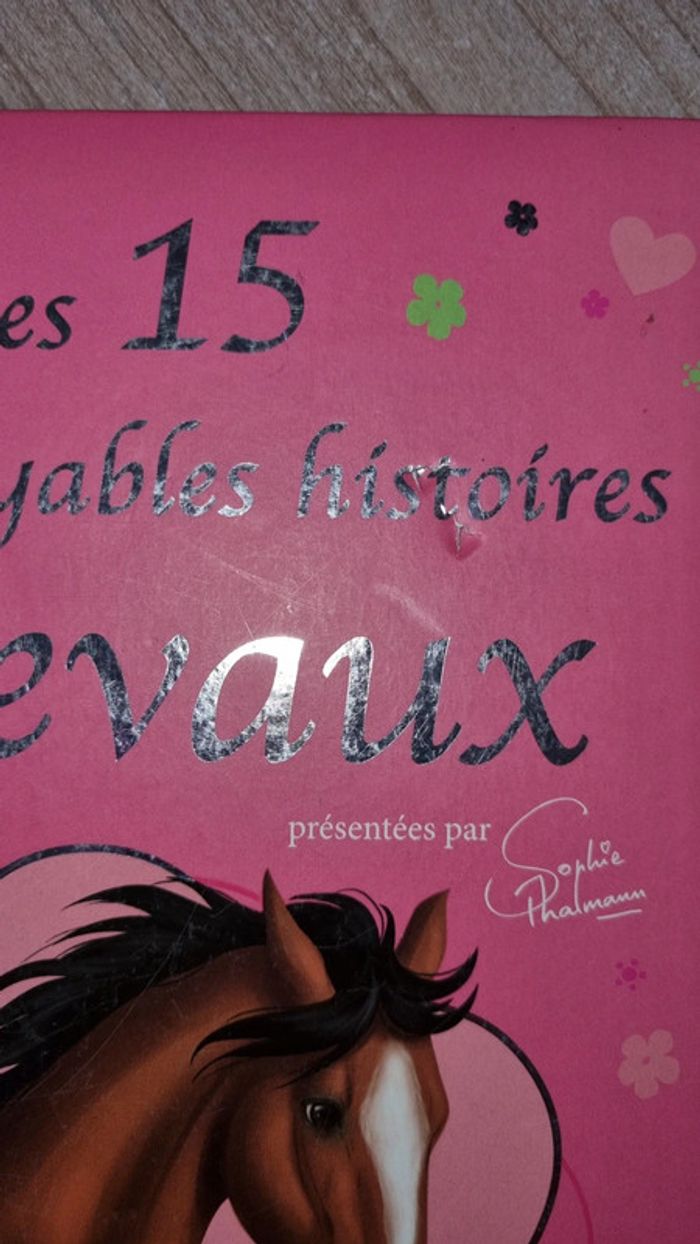 Livre chevaux - photo numéro 3