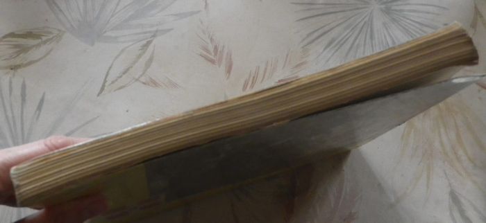 Le pays de Montbéliard par Louis Renard Lib. Rayot-Depoutot - photo numéro 4