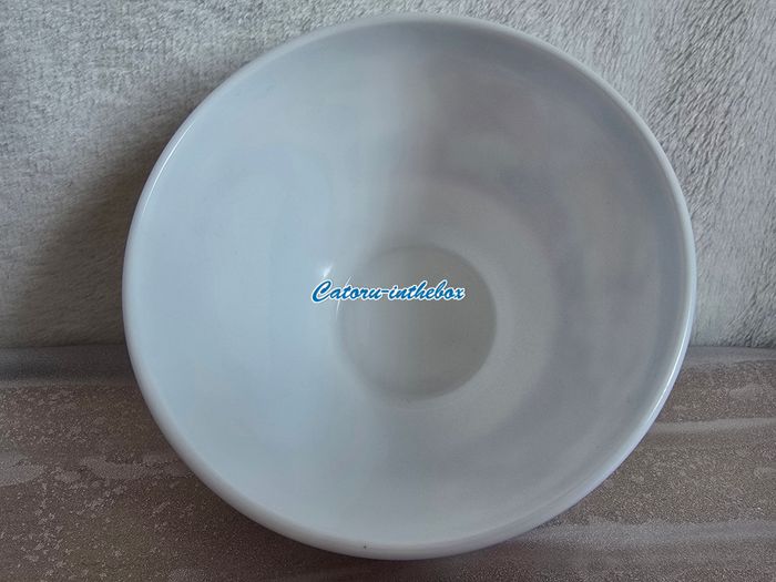 Bol / Bowl Disney Arcopal Bambi Panpan / Thumper - photo numéro 10