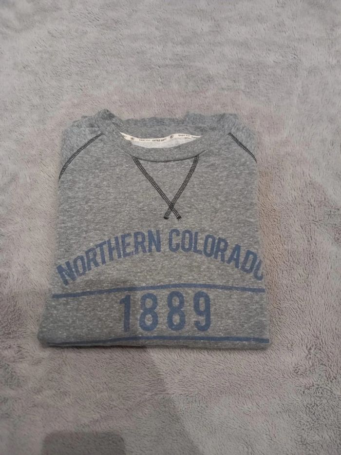 Pull/Sweat vintage Imprimé Colorado Gris Bleu
