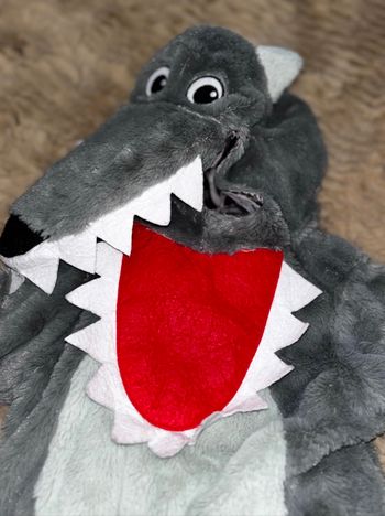 Déguisement le loup mixte 2-3 ans