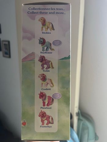 Petit poney dans la boîte