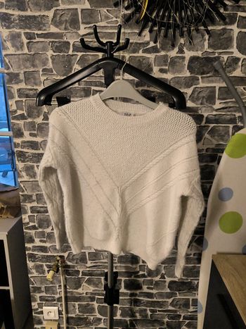 Pull polaire