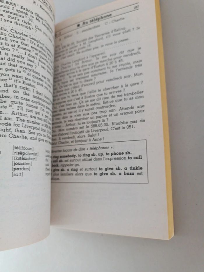 Anglais pratiquer perfectionnement pour maîtriser la langue et son environnement - photo numéro 13