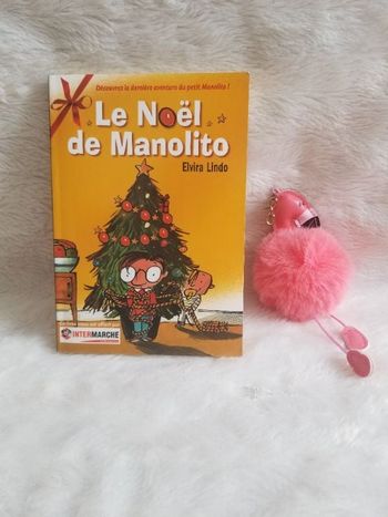 Livre le Noël de manolito