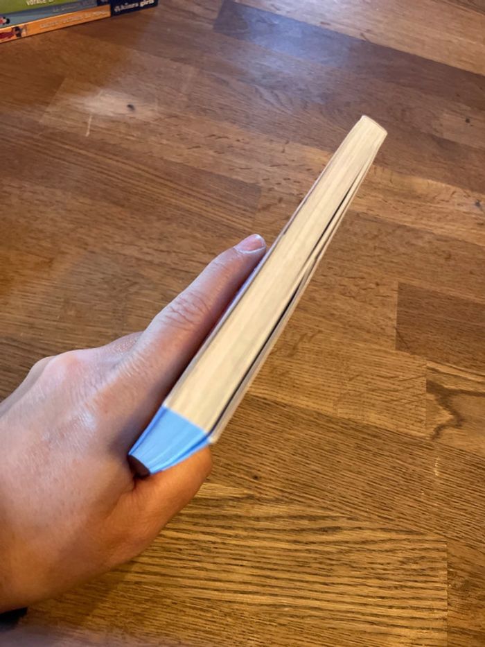 Livre Kinra Girls Numéro 16 Faites un vœu - photo numéro 8