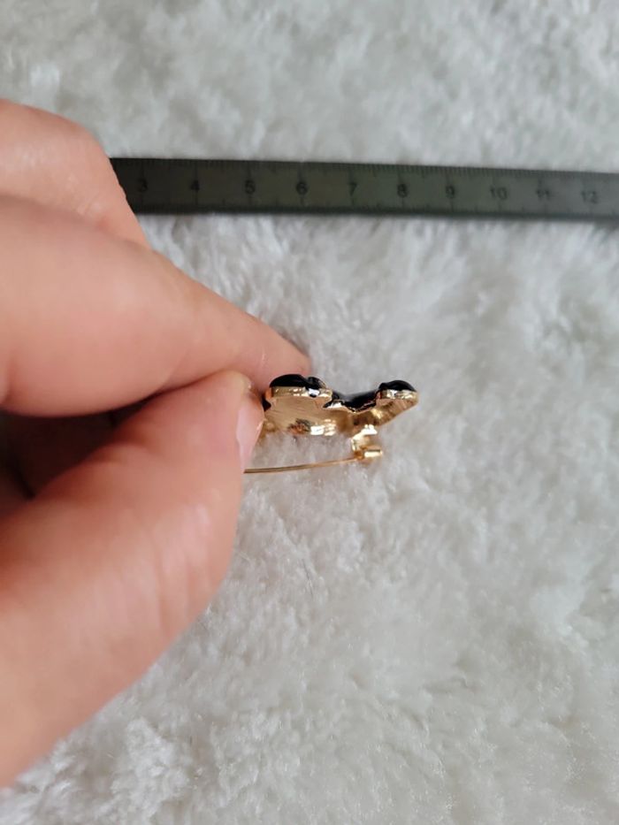 Chien scotty noir - photo numéro 5