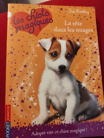 Les chiots magiques 3. La tête dans les nuages