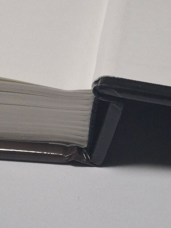 Livre Atlas nature "les champignons comestibles" - photo numéro 10