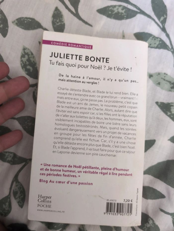 Roman de Noël - Tu fais quoi pour Noël ? Je t'évite ! - photo numéro 2