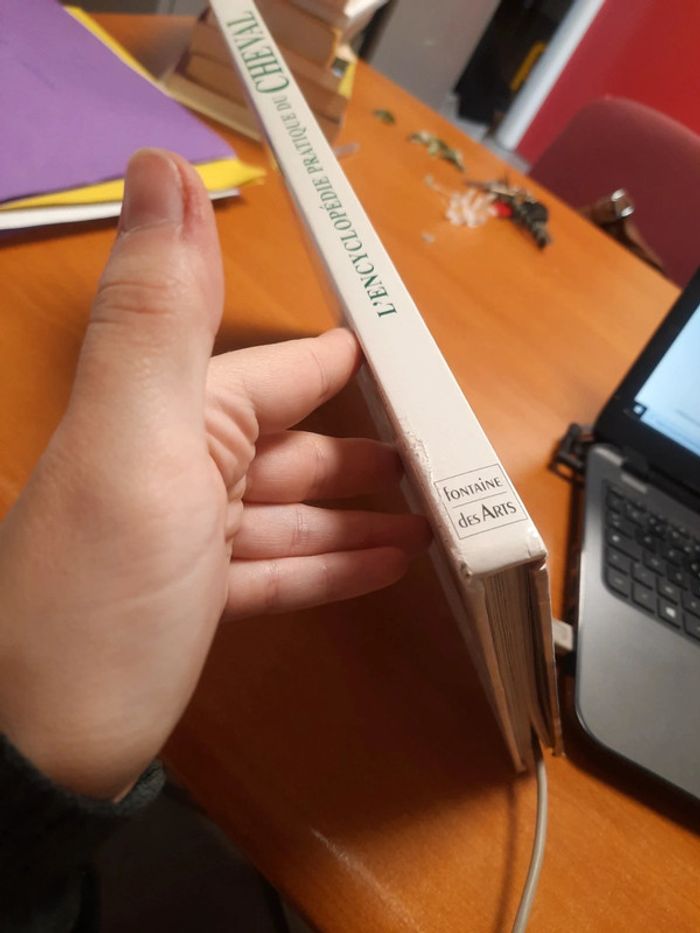 Cheval - photo numéro 3