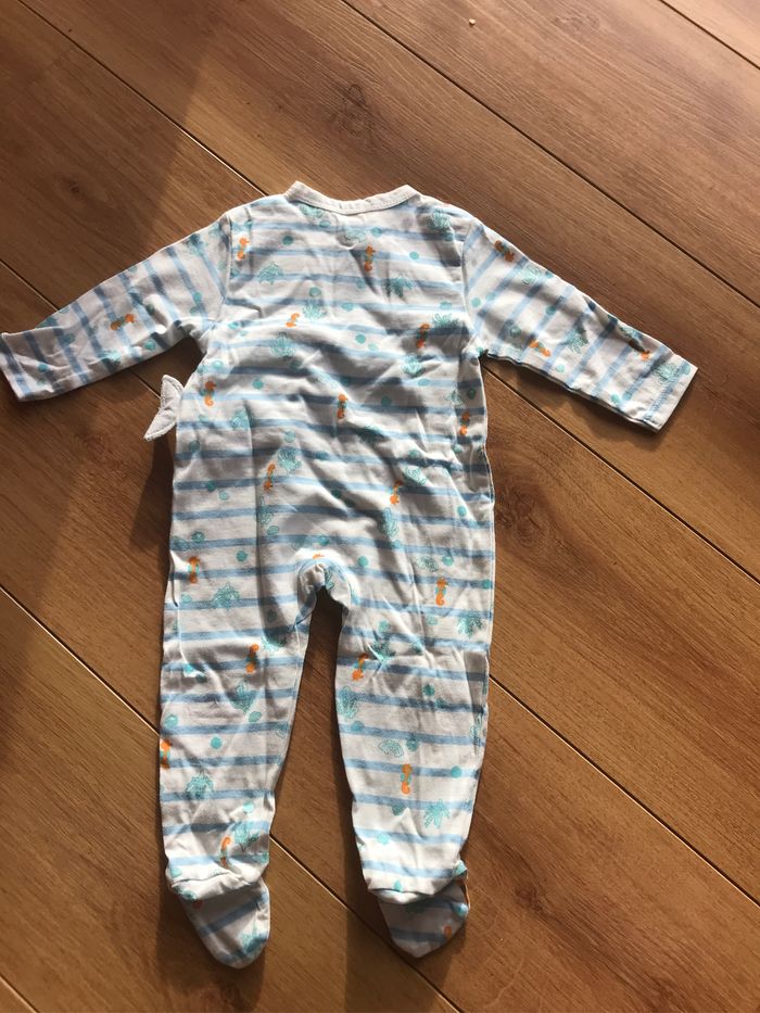 Grenouillère - photo numéro 3