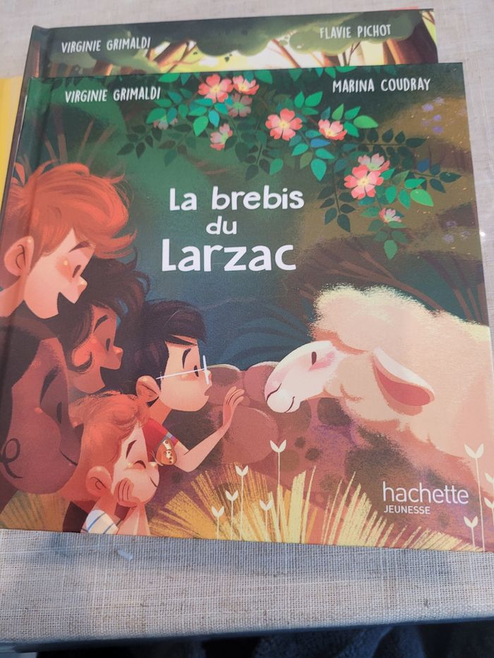 Livres burger king en lot - photo numéro 3