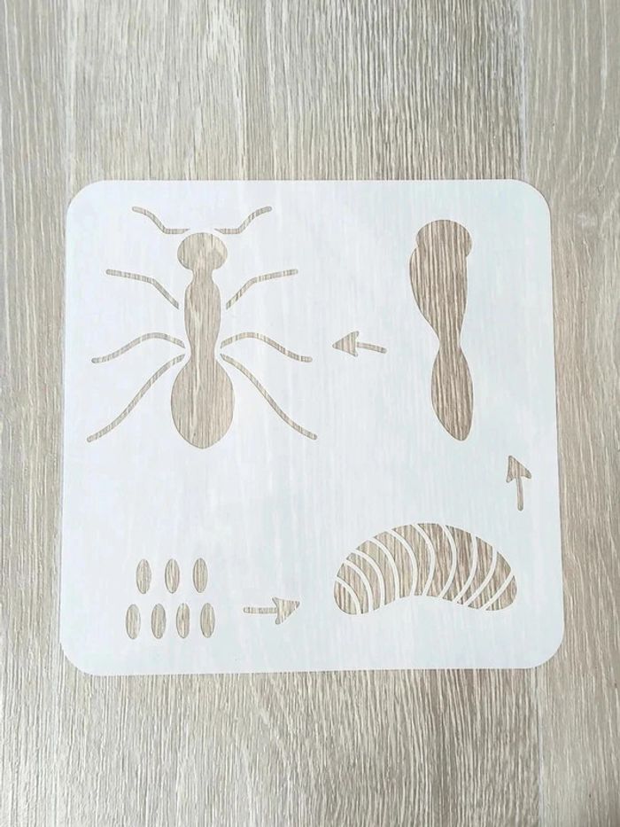 Pochoir du cycle de vie de la fourmi