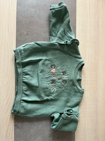 Pull vert