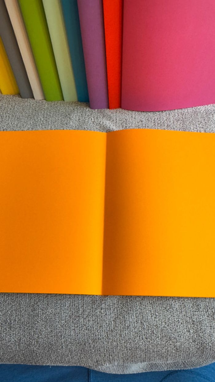 Ensemble de 6 chemises rigides orange - photo numéro 4