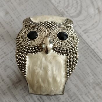 Superbe bracelet chouette acier et résine