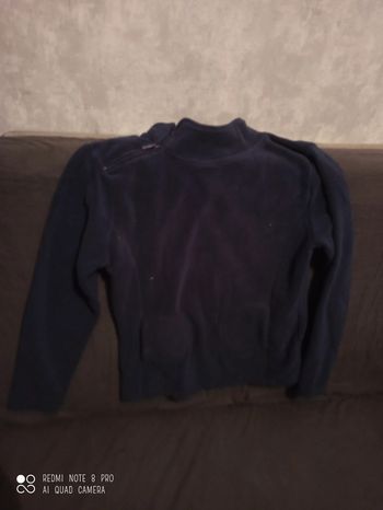 Pull polaire