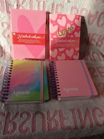 Lot papeterie 2 agendas 2025-2026 + 2 carnets avec stylo – neuf – scolaire / bureau