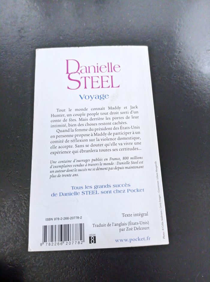 Danielle Steel -" Voyage" - photo numéro 3