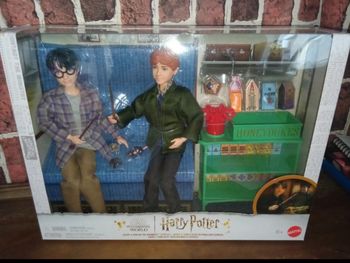 Coffret poupées Harry Potter et Ron Weasley à bord du Poudlard Express 