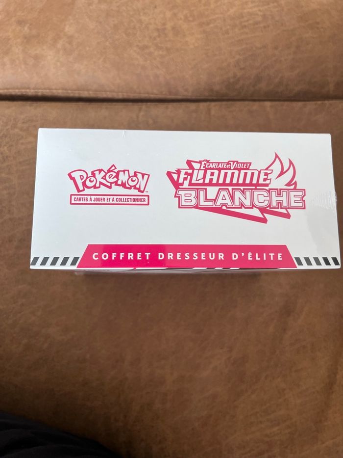 ETB Flamme Blanche ev10.5 - photo numéro 4