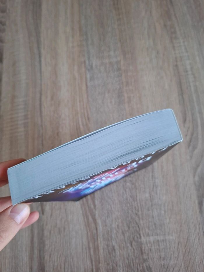 Mille et un coup de folie, livre de Flora Stark - photo numéro 6
