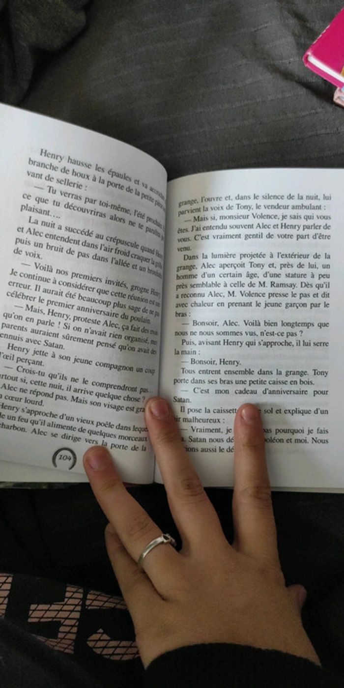 Livre le fils de l'étalon noir - photo numéro 2