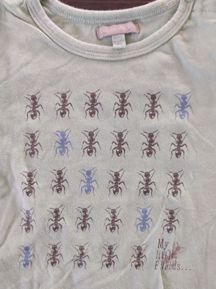 T-shirt été manche courte 12 mois grain de blé vert fourmies - photo numéro 4