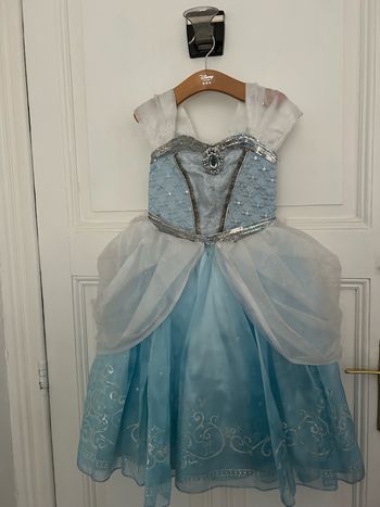 Robe Cendrillon édition limitée