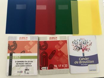 Lot petits cahiers + protège cahiers + feuilles