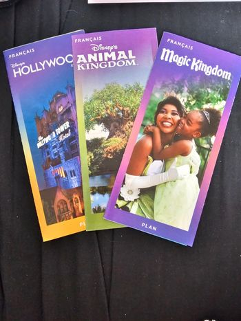Lot souvenirs 3 plans disneyworld orlando 2024