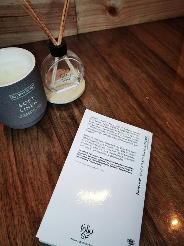 D2961 - livre "Les enchantements d’ambremer" - photo numéro 3