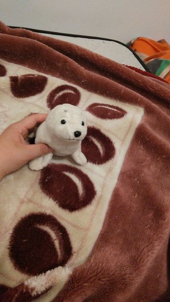 Peluche