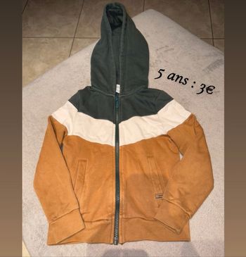 Gilet à capuche