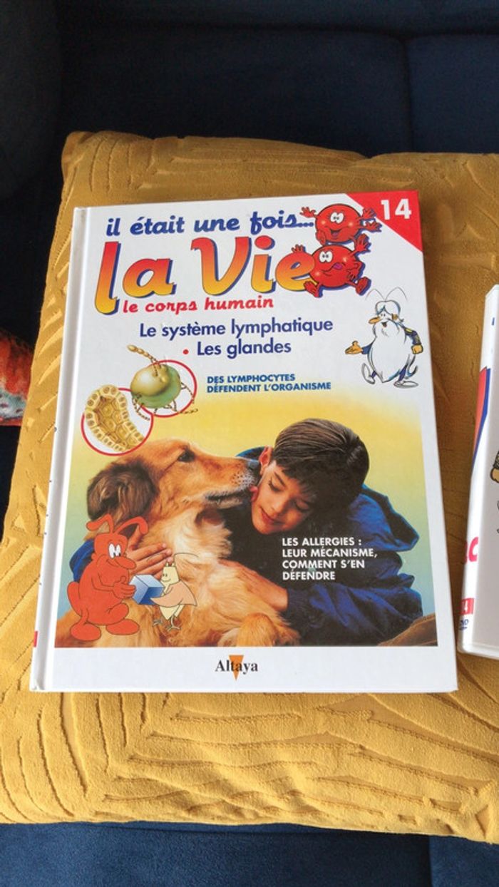 Collection il était une fois la vie le corps humain - photo numéro 2