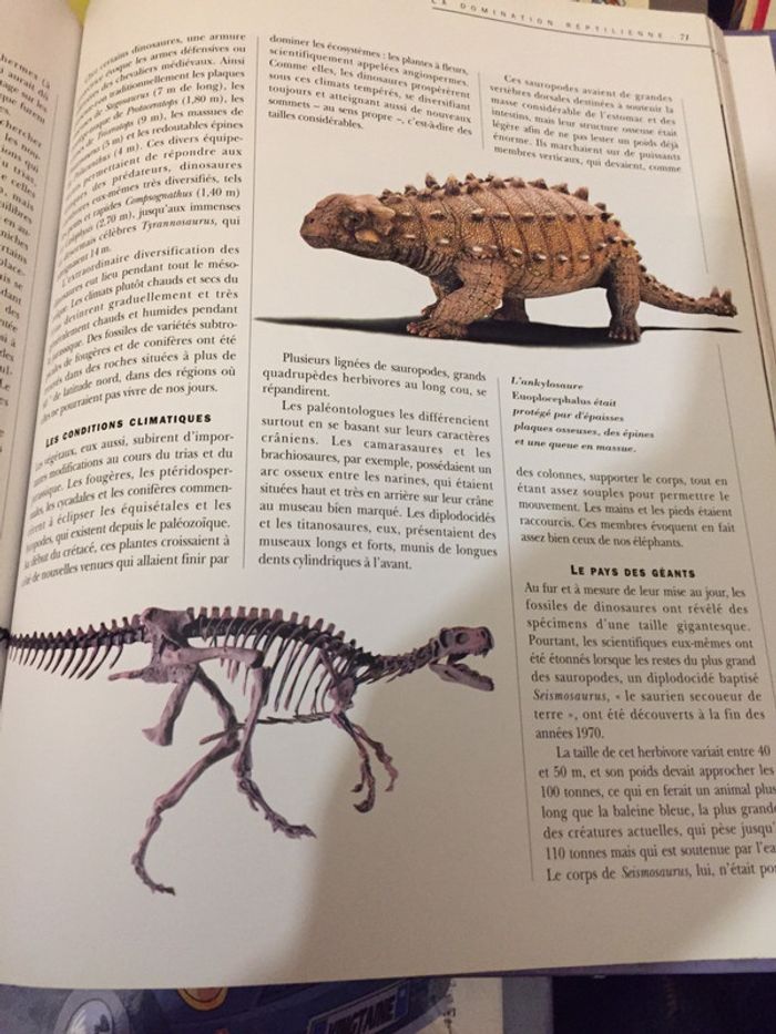 La terre avant l’homme - photo numéro 4