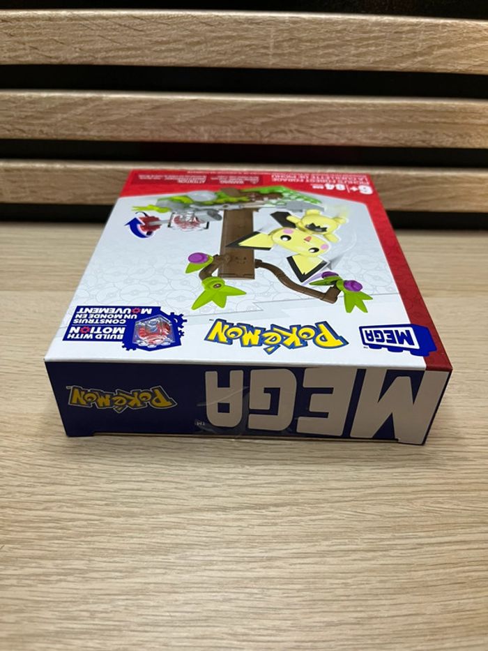 Pichu Pokémon - photo numéro 4