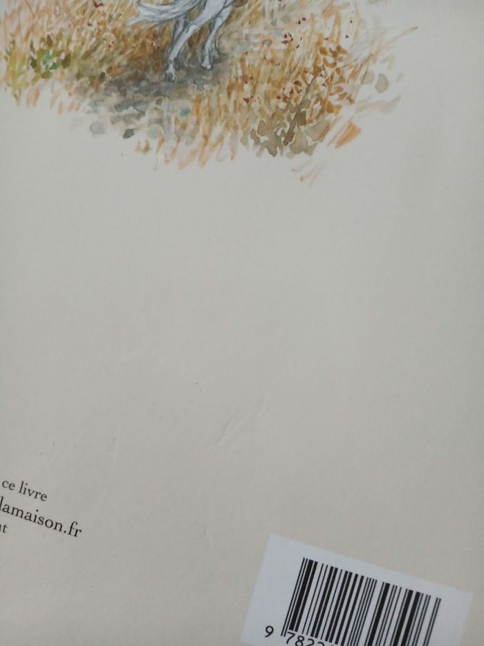 Livre enfant mon petit cheval Mahabat - photo numéro 6