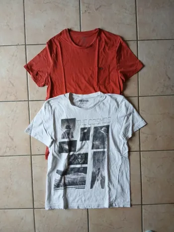 Lot de 2 tee-shirts
