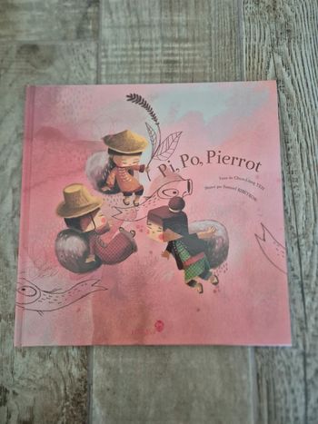 Livre Pi po Pierrot