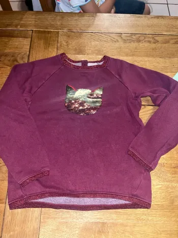 Pull chat sequins du pareil au même 12 ans