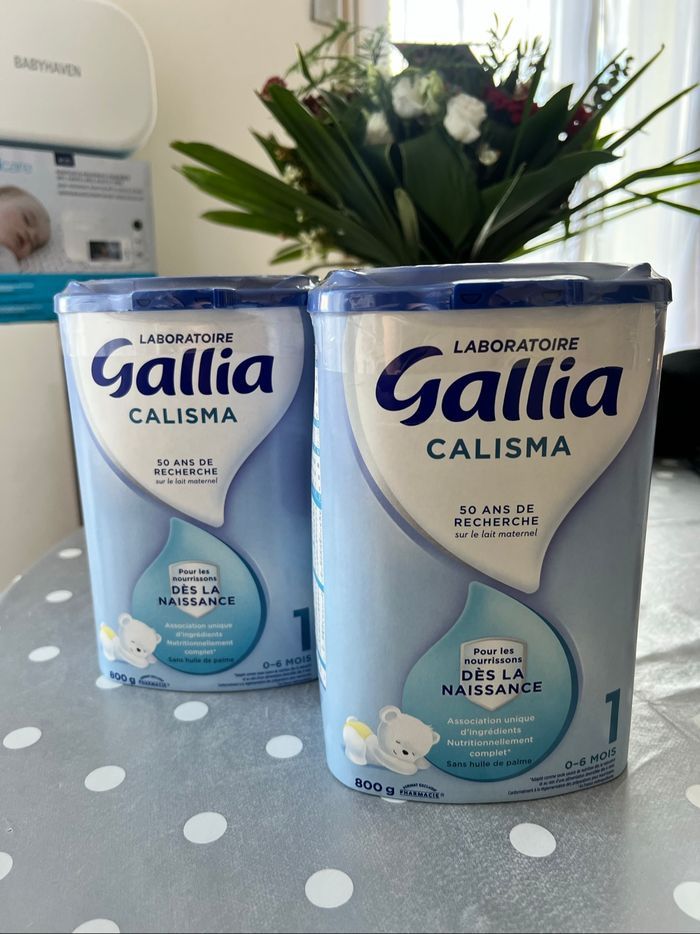 Gallia calisma 1