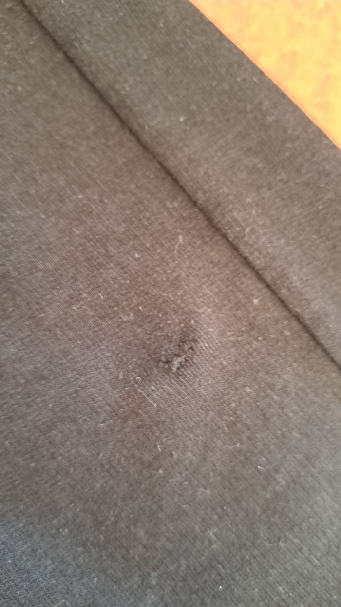 Lot de deux joggings et deux pantalons - photo numéro 10