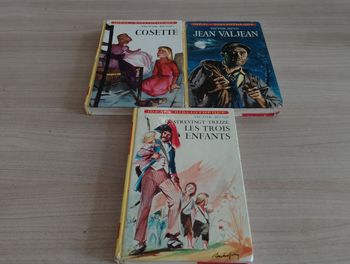 Lot de 3 livres, Victor Hugo (idéal bibliothèque)(7)